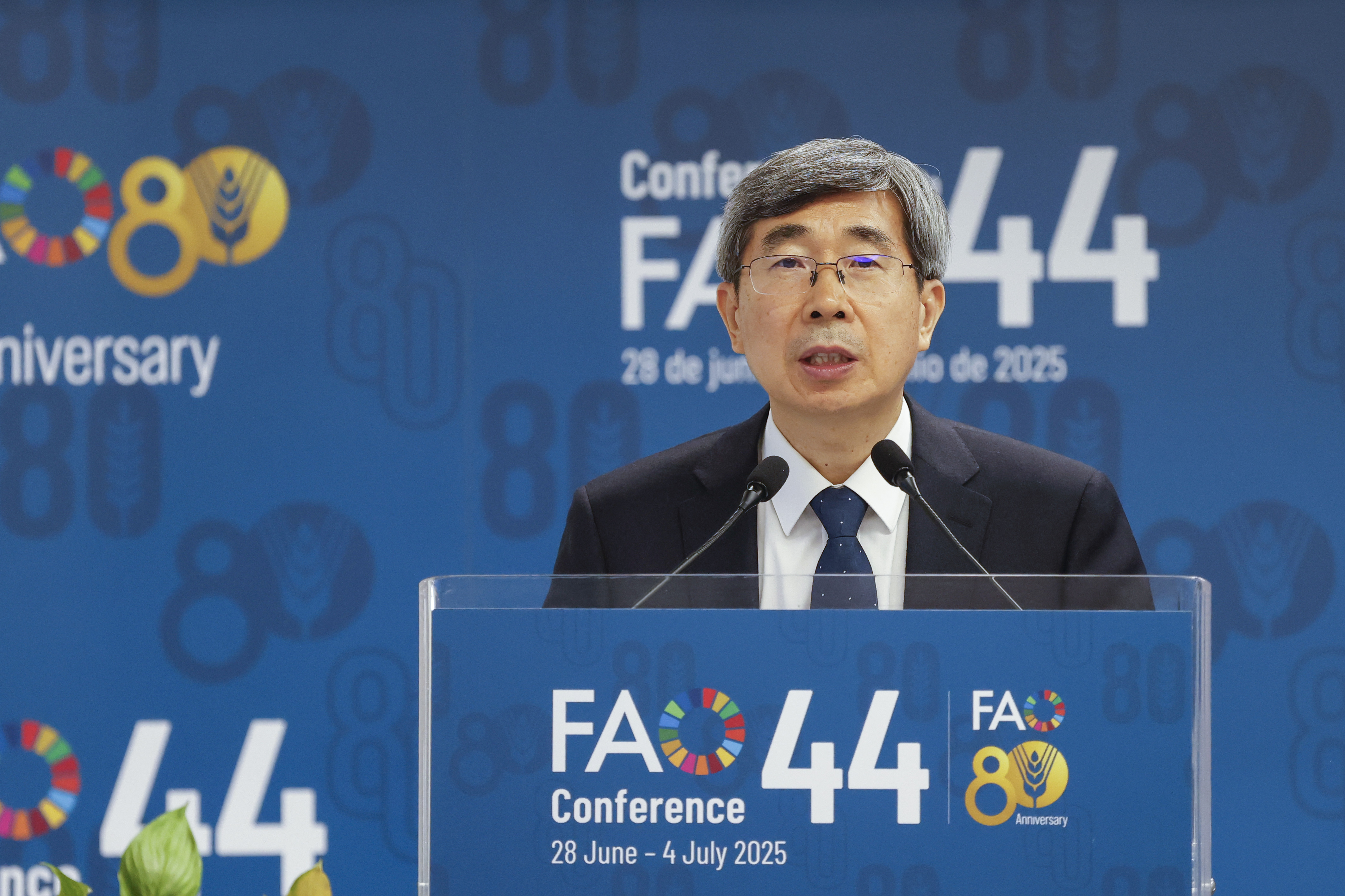 江文胜出席联合国粮农组织大会第44届会议