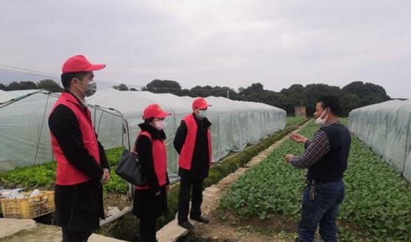 福州市农业农村局科技惠三农抓好蔬菜生产